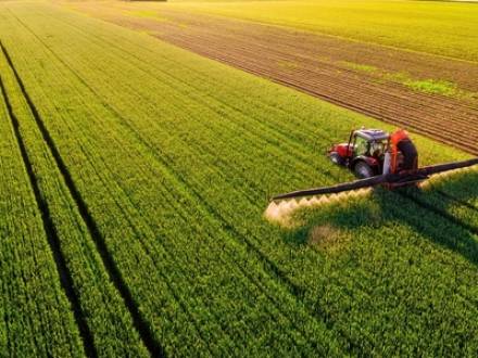 TX bankruptcy lawyer